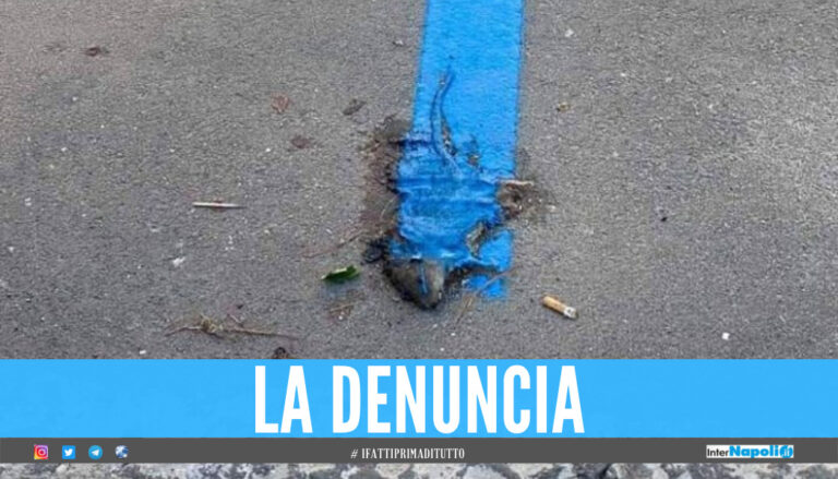 Assurdo a Caivano, strisce blu dipinte su un topo morto: residenti inorriditi