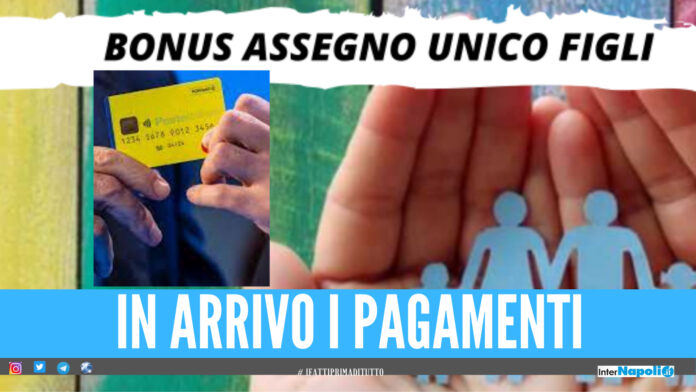 Reddito di cittadinanza e bonus