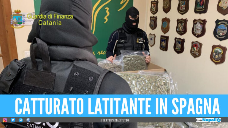 Narcos latitante arrestato in Spagna, era ricercato in tutta Europa