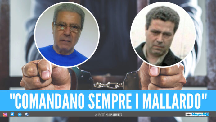 clan Mallardo