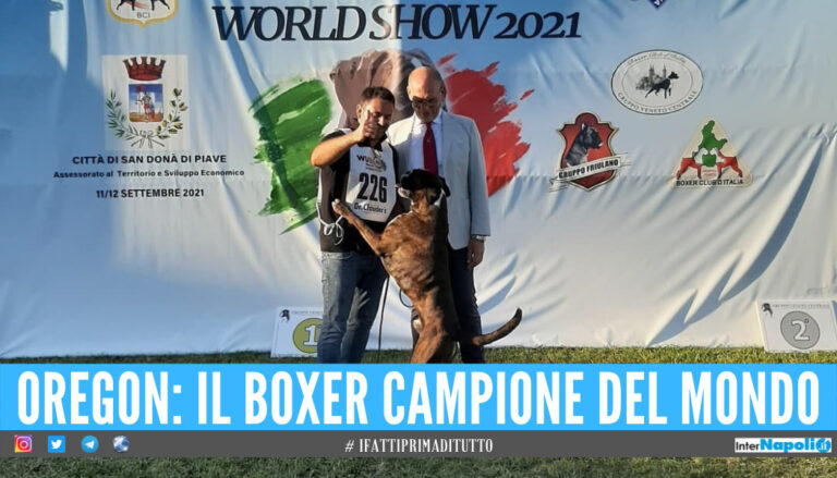 Un’altra vittoria per ‘L’Oro di Napoli’ di Felice Galluccio, il boxer Oregon è campione del mondo