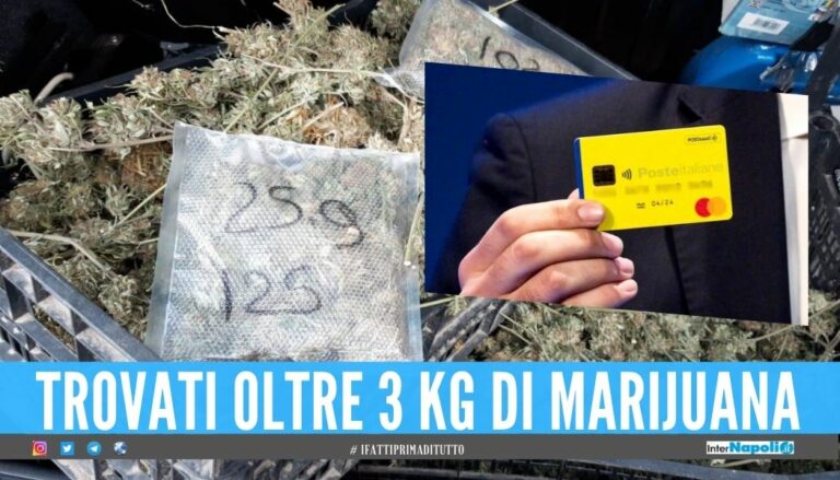 Coltivava marijuana e incassava il Reddito, arrestato 50enne in Campania