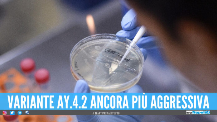 Variante covid ay.4.2