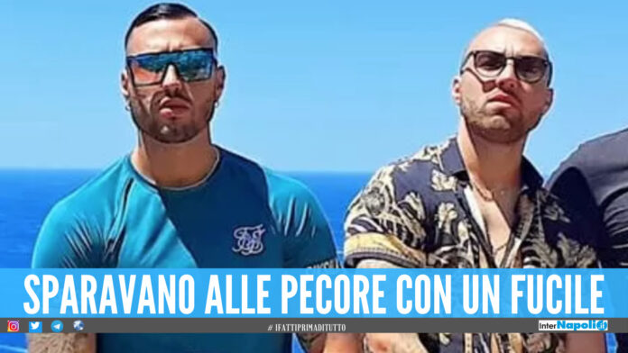 Omicidio di Willy, il retroscena: i fratelli Bianchi per allenarsi torturavano gli animali