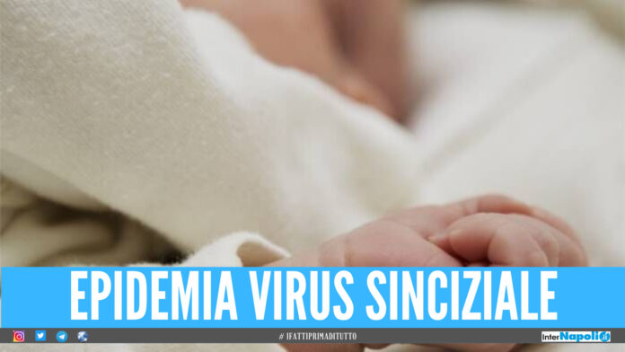 Virus sinciziale