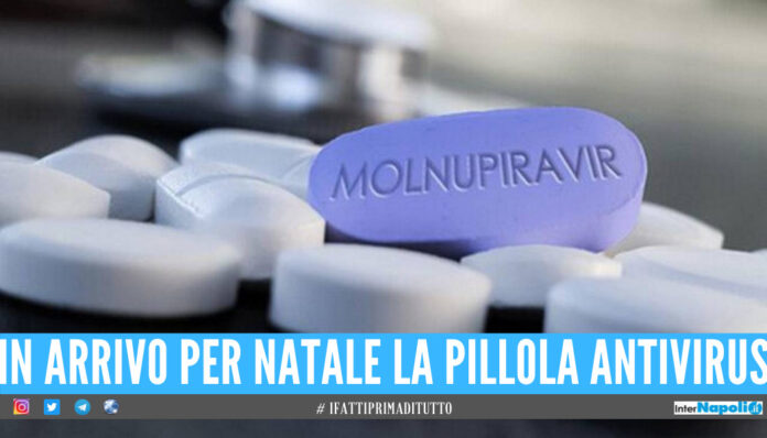 Arriva la prima pillola antivirus: il farmaco sarà pronto per Natale