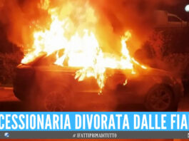 Incendio nella notte a Castellammare, concessionaria divorata dalle fiamme: 16 veicoli carbonizzati
