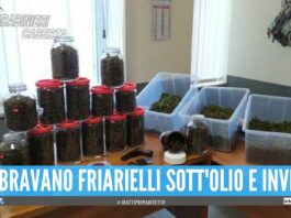 Dieci kg di marijuana nascosti nei 'boccacci', preso 21enne nel Casertano