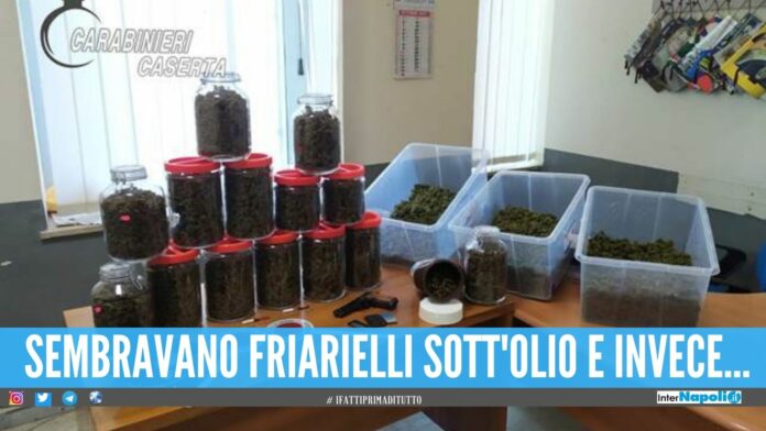 Dieci kg di marijuana nascosti nei 'boccacci', preso 21enne nel Casertano
