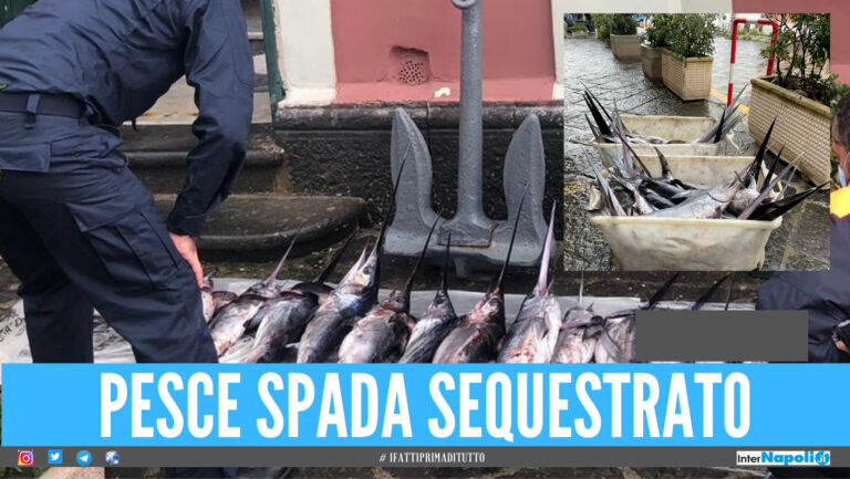 Attenzione al pesce fuorilegge, maxisequestro della Capitaneria nel Napoletano