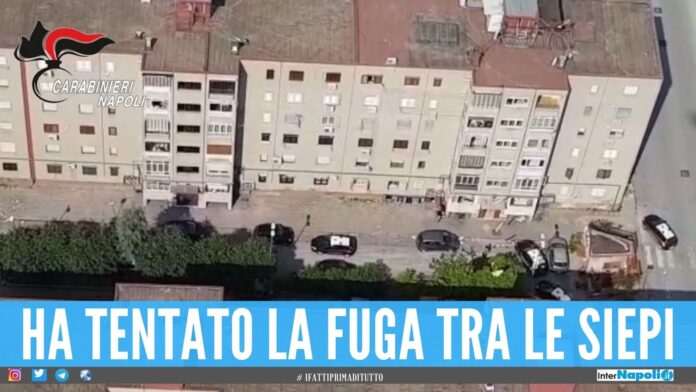 Blitz al Parco Verde di Caivano, arrestato un altro membro della famiglia Bervicato