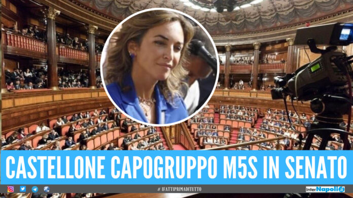 Capogruppo M5S in Senato, scelta la giuglianese Mariolina Castellone