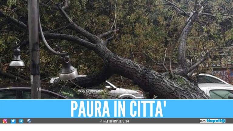 Napoli, il maltempo non dà tregua: crollano due alberi in città