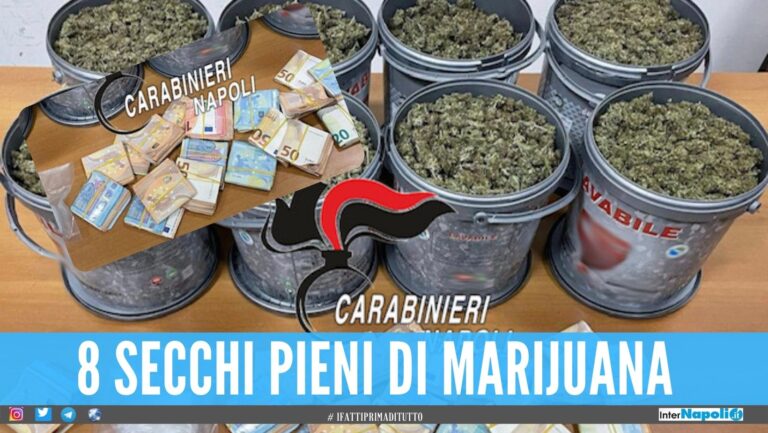 Beccato con 7 kg di marijuana e 19mila euro in contanti, arrestato a Caivano