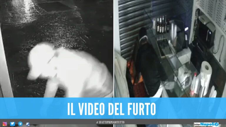 Napoli, raid nella notte alla pizzeria Porzio: il filmato delle telecamere