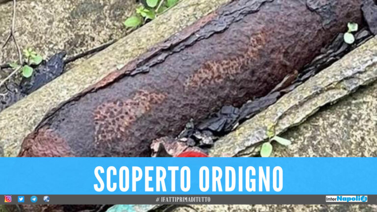 Ordigno della Seconda Guerra Mondiale scoperto in Campania, l’intervento dei carabinieri