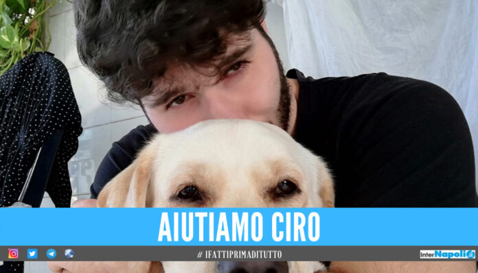 Raccolta fondi per aiutare Ciro, il 26enne napoletano lotta contro un raro tumore