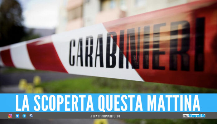 morto polla