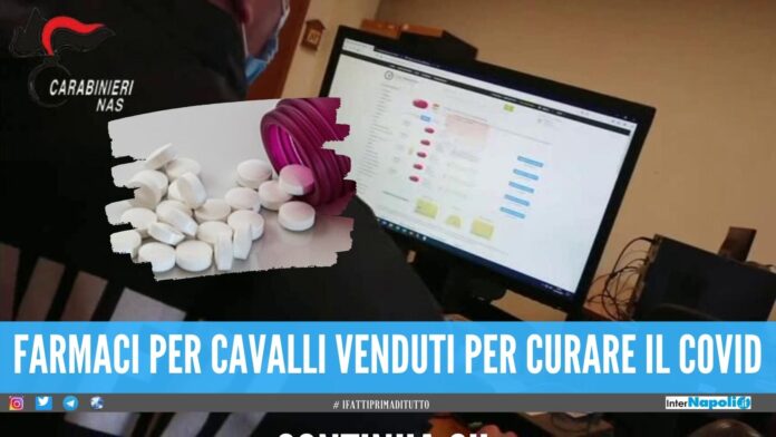 Antiparassitario venduto come farmaco anti-covid, i Nas bloccano 30 siti