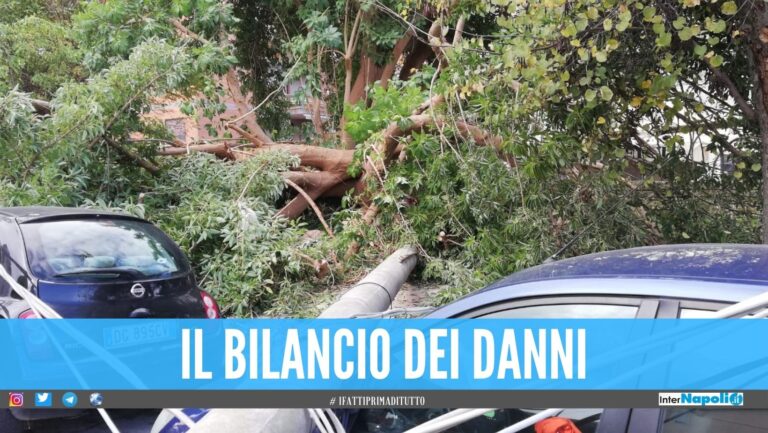 Albero crolla sulle auto tra Napoli e Marano, ancora danni del maltempo