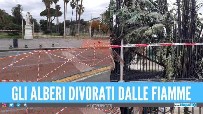Fiamme nella Villa Comunale a Napoli, sequestrata l'area incendiata