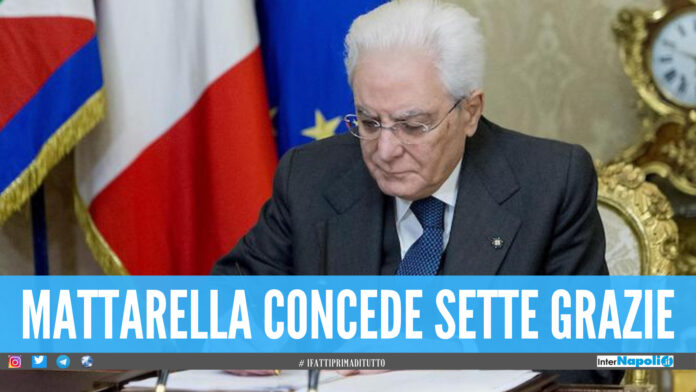 concesse 7 grazie