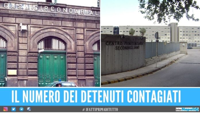 detenuti carcere Cresce il contagio covid nelle carceri di Poggioreale e Secondigliano, l'allerta dei Garanti
