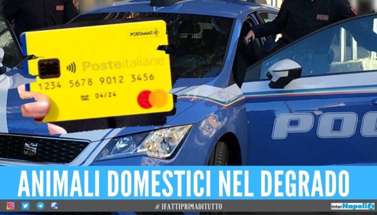 Latitante torna in Italia per ottenere il Reddito di Cittadinanza: catturato