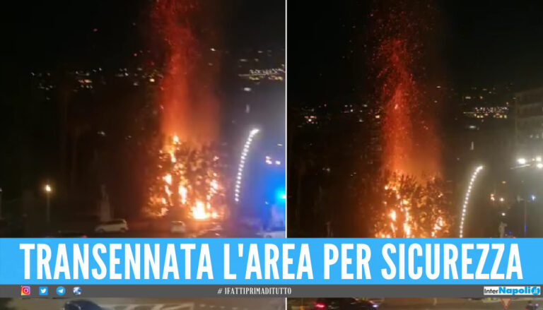 Incendio nella Villa Comunale di Napoli, alberi divorati dalle fiamme [Video]