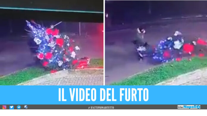 Furto albero di un commerciante a Marano