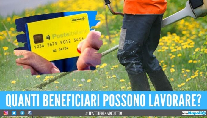 Reddito di Cittadinanza, oltre 500mila beneficiari con il contratto di lavoro