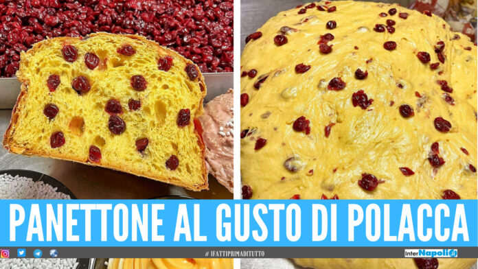 panettone al gusto di polacca