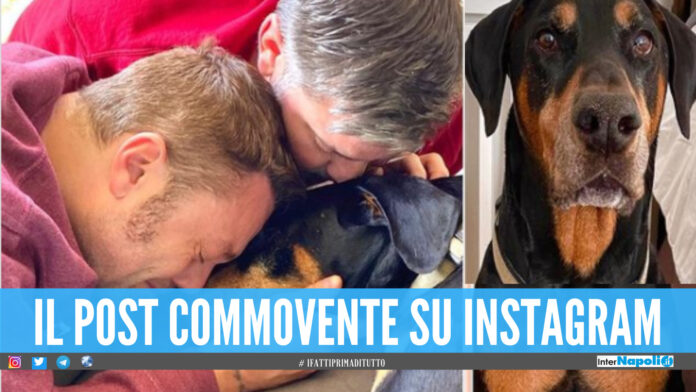 Lutto per Tiziano Ferro, morto il cane del cantante: «Ci hai insegnato fedeltà e gratitudine»