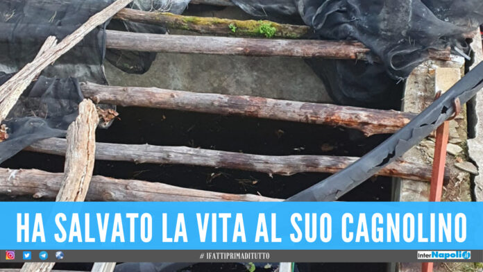 Tragedia a Maiori, muore annegato nel giorno del suo compleanno per salvare il cane