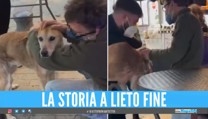Scappa dai botti e cade nel lungomare di Napoli, lieto fine per Viola: è stata salvata da un cameriere