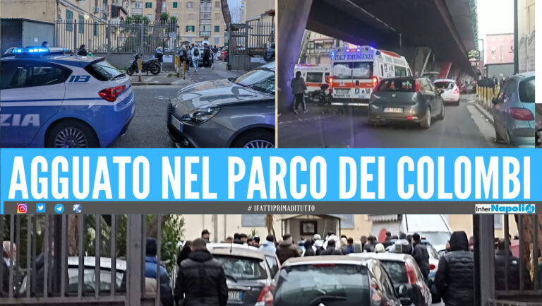 Pasquale Torre trucidato in auto, Giuseppe Di Napoli ha tentato di scappare: la dinamica del duplice agguato al Don Guanella