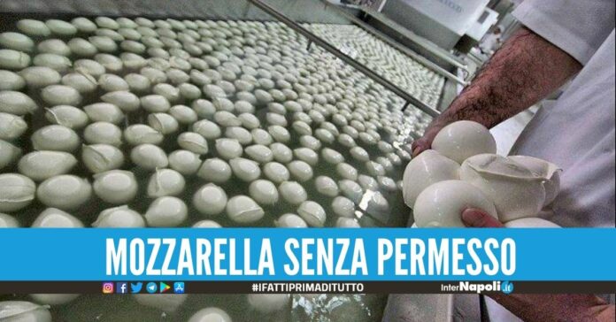 Chiuso caseificio abusivo a Villaricca, scatta l'ordinanza del Comune