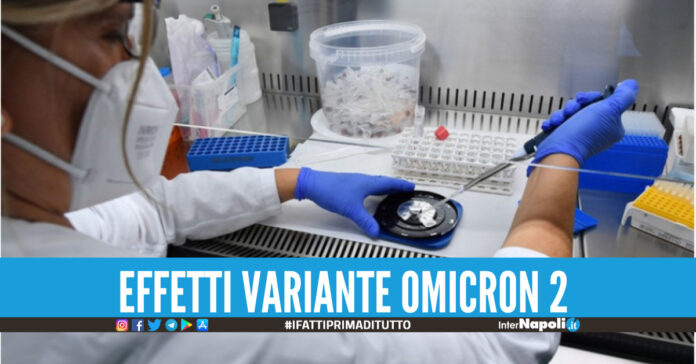 Omicron 2, quali sono gli effetti della nuova variante è più trasmissibile della 'sorella'