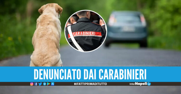 Carabinieri cagnolino abbandonato