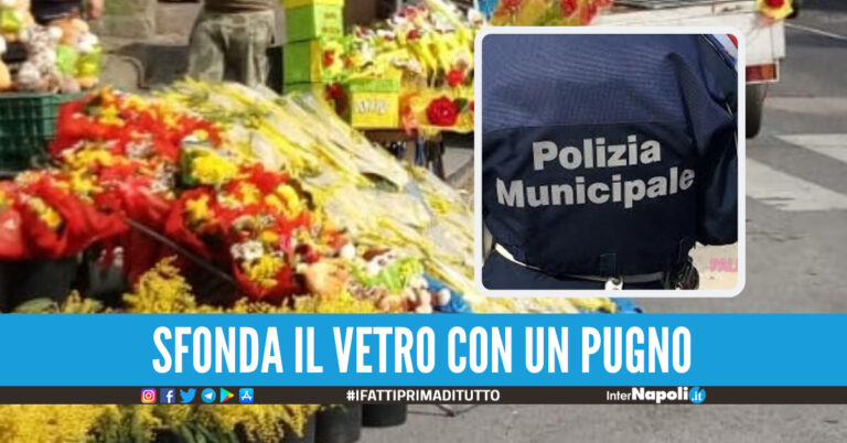 Castel Volturno, venditore di mimose aggredisce i vigili dopo una multa