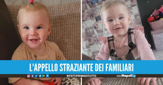 Convince i genitori a comprare il cane, la piccola Bella uccisa sbranata a 17 mesi