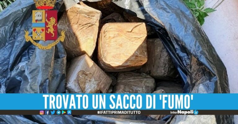 Scovati 23 kg di hashish in un terreno a Pompei, la polizia sequestra i blocchi