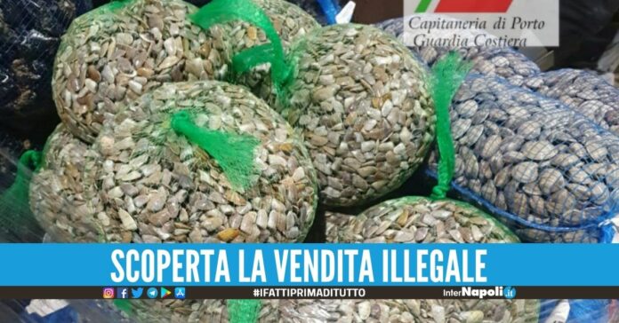 Blitz ai mercati ittici di Mugnano e Volla, sequestrati 1200 kg di frutti di mare e crostacei