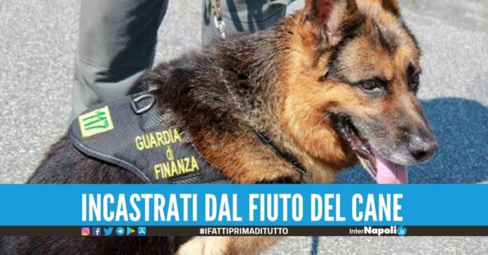 In viaggio da Napoli a Catania con 30mila euro di droga, 2 arresti nel bus