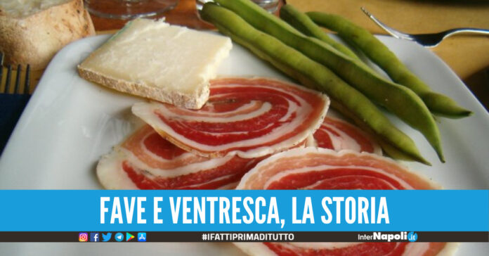 Fave fresche con ventresca