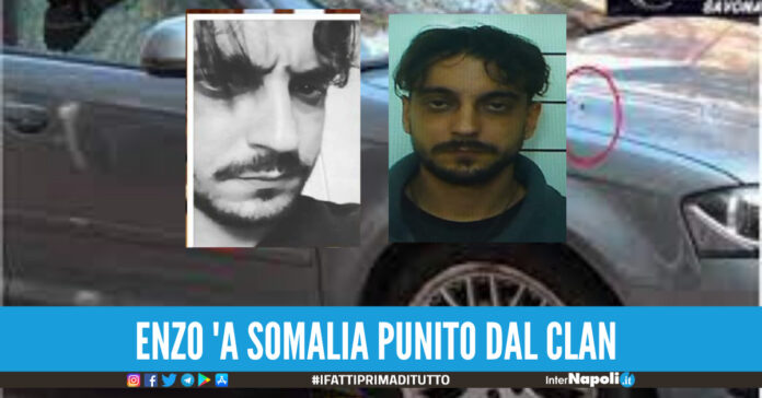 Il video del pestaggio e il lobo tagliato, ora la morte cosa si nasconde dietro l'omicidio di Enzo 'a somalia