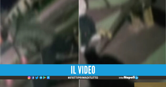 Raid in villa a Sant'Antimo