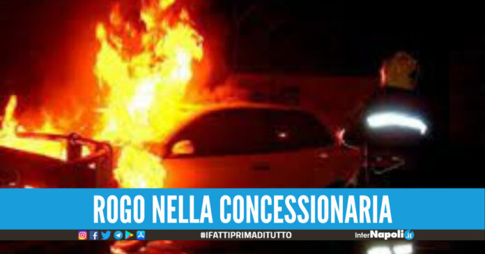 rogo nella concessionaria