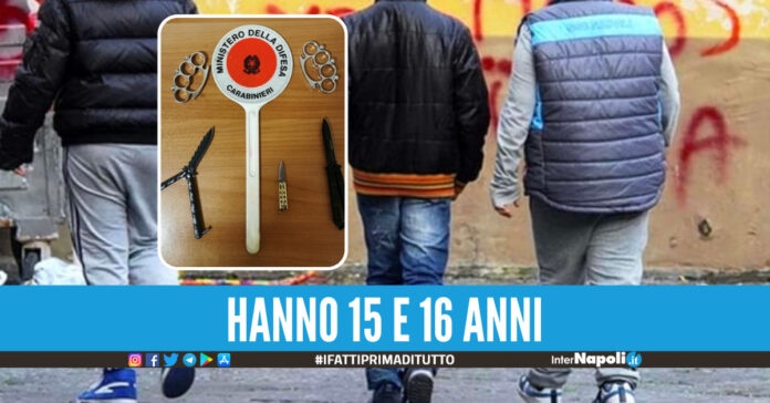 Nel riquadro le armi sequestrate dai carabinieri