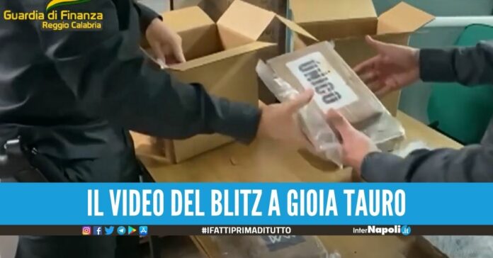 Colpo da 200 milioni di euro ai narcos, trovati 650 kg di cocaina purissima